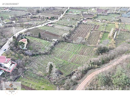 BURSA KESTEL GÖZEDE DE SATILIK YOLA CEPHE 4 DÖNÜM BAHÇE #1260509997