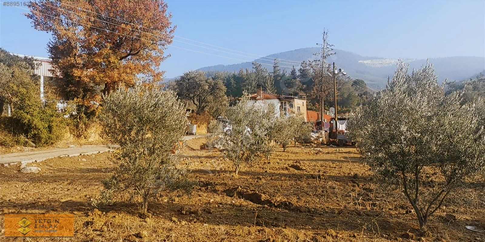 Muğla Yatağan Mesken Mahallesi Satılık 3000m2 İçerisinde Köy Evi