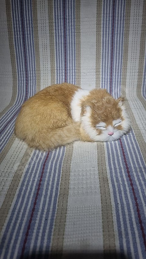 Gerçekçi Uyuyan Kedi Figürü