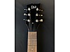 LTD Elektro Gitar
