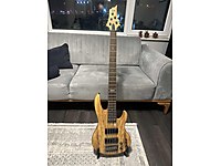 ESP LTD B-205 Spalted Maple Natural Bas Gitar (5 Telli)