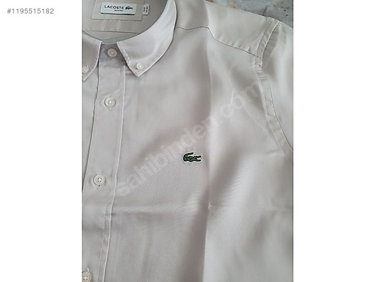 Ouedkniss cheapest t shirt lacoste