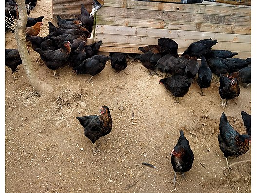 Nuloy0dqzlszm Nuloy0dqzlszm