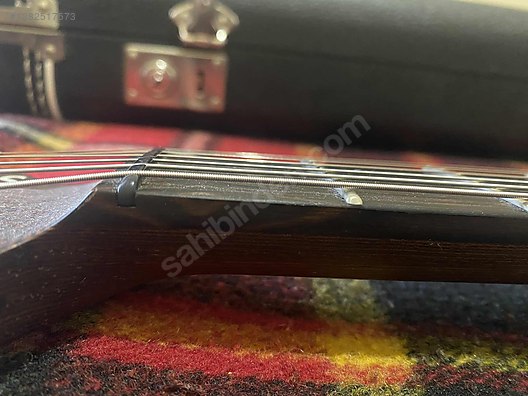 Schecter Elektro Gitar