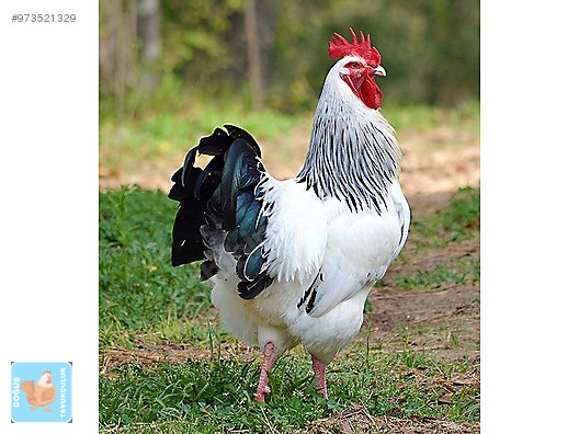 Gjfo1zuwonryam Gjfo1zuwonryam