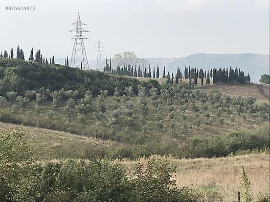 Yalova Kabakli Koyu Satilik Arsa Ilanlari Sahibinden Com Da 875524472