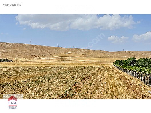 Bleyder de Satılık Müstakil Tarla(açıklamayı okuyonuz!) #1249525153