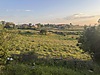 KAZDAĞLARI BAYRAMİÇ SÖĞÜTGEDİĞİ KÖYÜNDE 1310 M2 ARSA