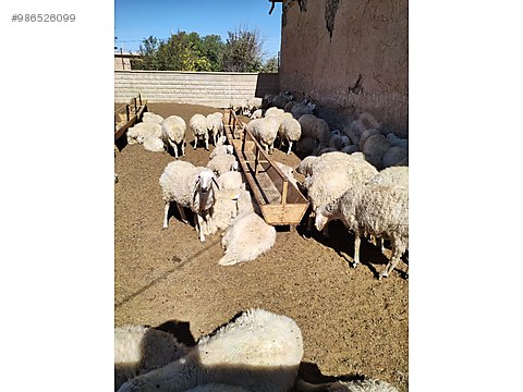 bkjesanxbc4xrm bkjesanxbc4xrm