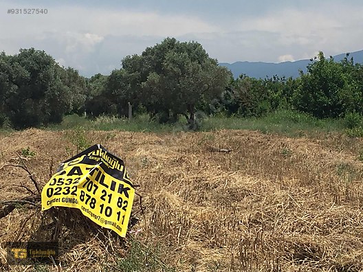 izmir kemalpasa oren ova da satilik arsa ilanlari sahibinden com da 931527540