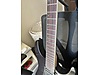 LTD Elektro Gitar