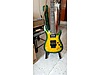 Schecter Elektro Gitar