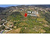 SAKARYA HENDEK KARADERE KÖY MERKEZINDE SATILIK FINDIKLIK