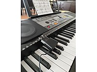 61 tuş hassasiyetli temiz org adamslm61