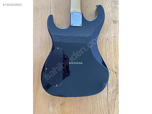 Washburn Elektro Gitar
