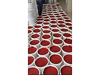 1 ci SINIF BİBER SALÇASI