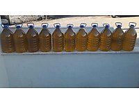 Sofralık Zeytin Yağı