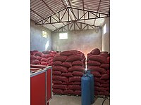 20 ton yeni mahsül chandler ceviz