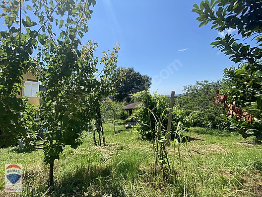 beykoz elmalida satilik 1350m arsa satilik arsa ilanlari sahibinden com da 947532457