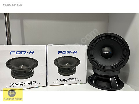 1300534625ray.jpg