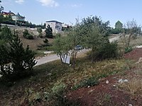 Gozne Mh Satilik Arsa Ilanlari Ve Fiyatlari Sahibinden Com Da