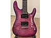 Schecter Elektro Gitar