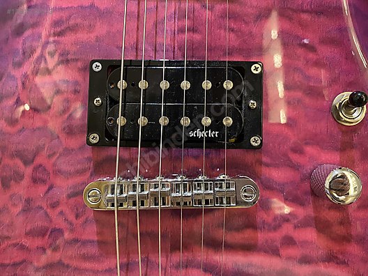 Schecter Elektro Gitar