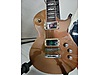 LTD Elektro Gitar