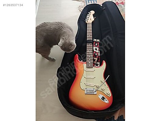 İkinci El ve Sıfır Alışveriş / Müzik / Müzik Aletleri / Telli Çalgılar / Gitar / Elektro