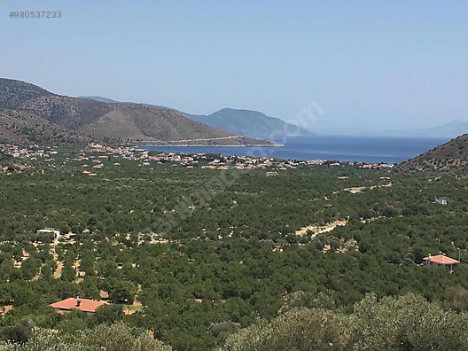 mugla datca palamutbuku emlak danismanlik emlak ilanlari sahibinden com da