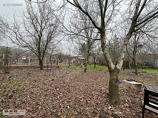 bahabey cd içeridere bağları girişine yakın satlık 800m2 bağ evi #1251539882