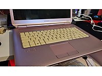 Retro Sony Vaio VGN-NS21M Notebook 2008 ÜRETİM !