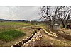 BAYRAMİÇ KAZDAĞLARINDA FIRSAT 10.214 M² ARAZİ