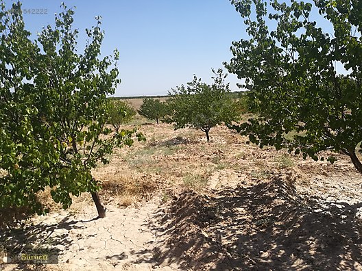 Surucuemlaktan Fiyati Dustu Tohma Civari Satilik Bahce Satilik Arsa Ilanlari Sahibinden Com Da 591542222