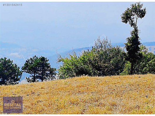 VİZYONER YATIRIMCILAR İÇİN KAÇIRILMAYACAK FIRSAT TEK TAPU TARLA