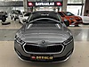 Vasıta / Otomobil / Skoda / Octavia / 1.0 e-Tec / Elite