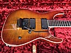 ESP Elektro Gitar