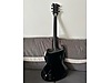 ESP Elektro Gitar