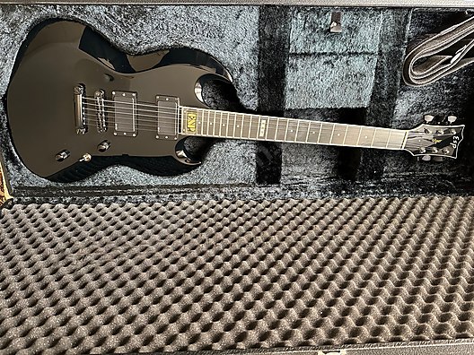 ESP Elektro Gitar