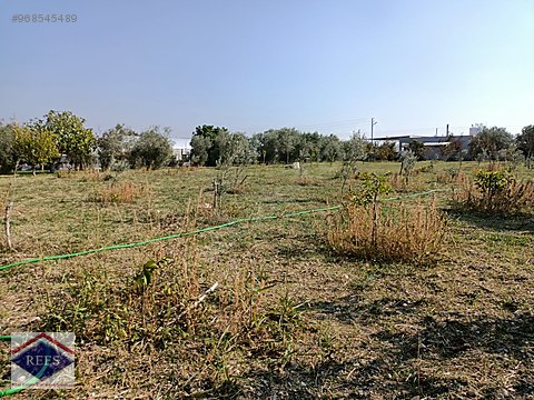 urla kuscular da satilik arsa satilik arsa ilanlari sahibinden com da 968545489