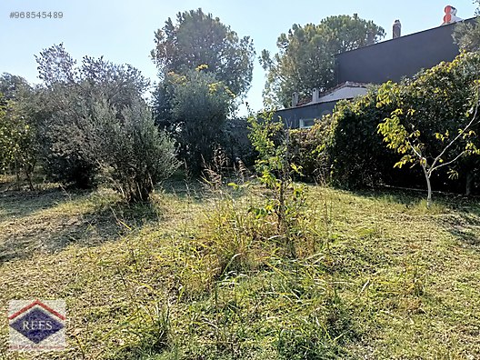 urla kuscular da satilik arsa satilik arsa ilanlari sahibinden com da 968545489