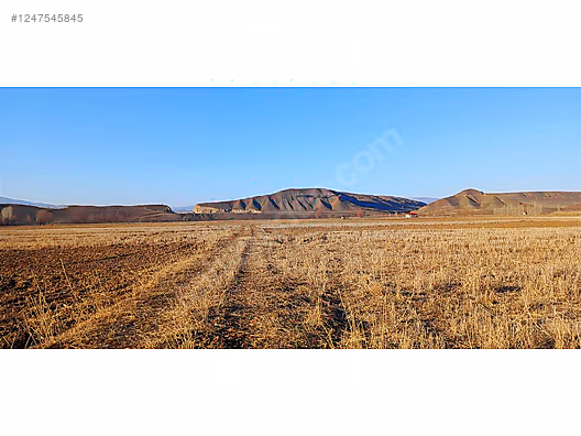 ÇAPAKÇUR EMLAK'TAN SATILIK TARLA #1247545845