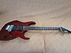 Washburn Elektro Gitar