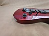 Washburn Elektro Gitar
