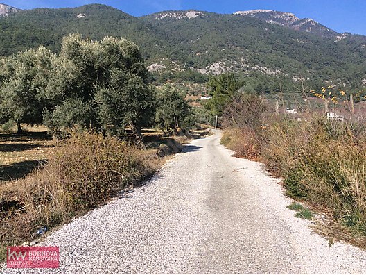 Izmir Kemalpasa Visneli De Satilik Arsa Satilik Arsa Ilanlari Sahibinden Com Da 931547468