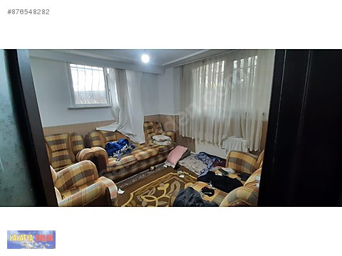 papatya emlak