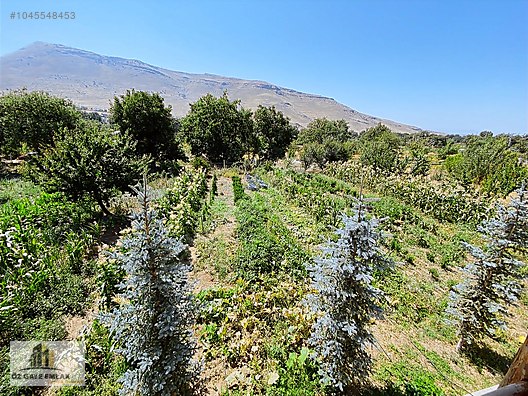 ÖZGAYE EMLAK�TAN DEVELİ ZİLE MAHALLESİNDE SATILIK BAĞ EVİ Satılık
