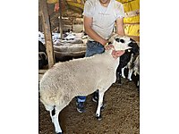 ADAKLIK BU HAFTAYA ÖZEL KAMPANYA YAPTIK #1113549279