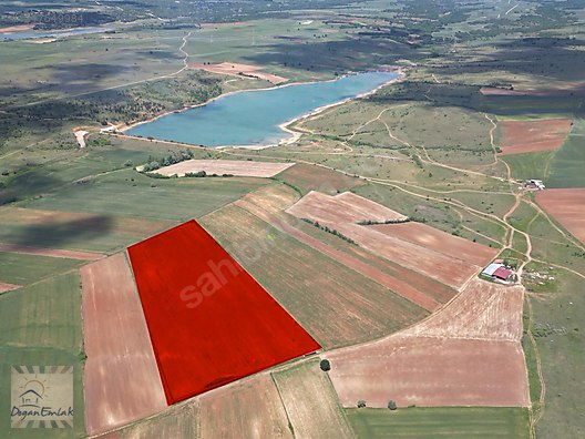 SAKIZKÖY GÖLETİ YANINDA SATILIK ARONYA BAHÇESİ #1247549984