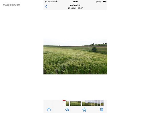 sahibinden subasida satilik tarla satilik arsa ilanlari sahibinden com da 926550369 sahibinden subasida satilik tarla satilik arsa ilanlari sahibinden com da 926550369